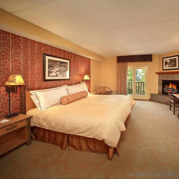 Bearskin Lodge On The River Gatlinburg Bilik gambar